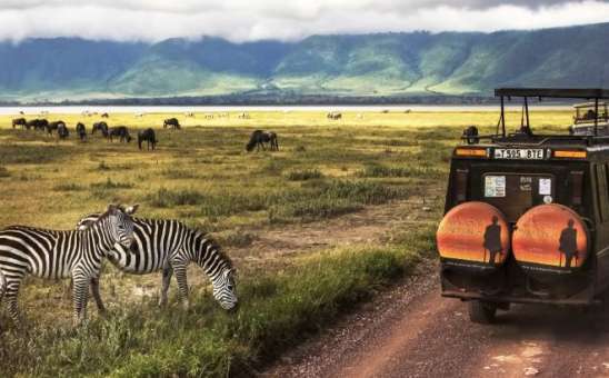 Private vs Group Safari Costs: East Africa Budget Guide 2026