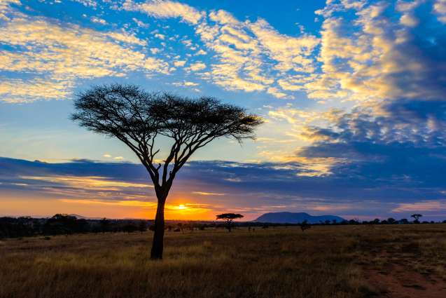 Serengeti sunrise