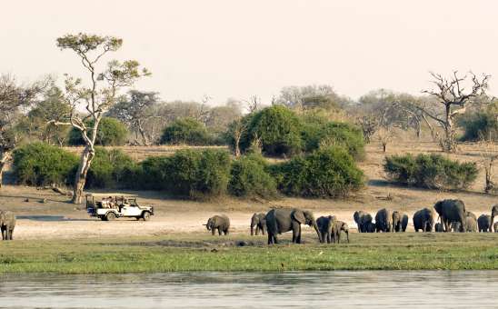 Seniors Guide to Botswana: Okavango Delta vs Chobe for Comfort and Accessibility