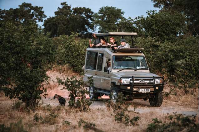 Safari vehicles Botswana