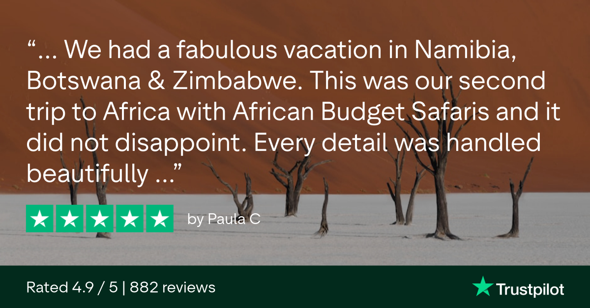 Paula C on Trustpilot