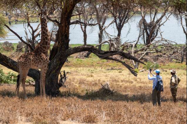 Walking safari Kenya