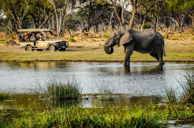 Planning a Dream Botswana safari