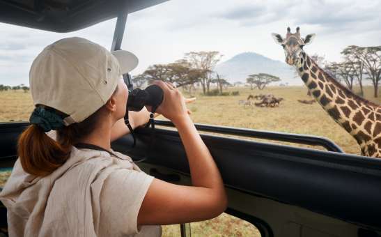 Last Minute Africa Travel Deals for 2025 Student Summer Holidays