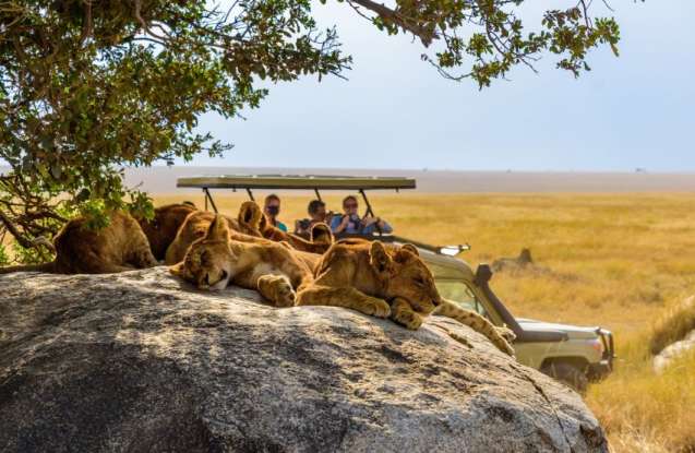 Serengeti Safari photography