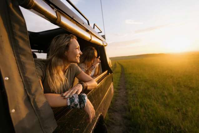 Golden Hour Light Over the Serengeti Plains