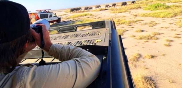 Amateur Photographer on a Safari Game Drive in the Serengeti