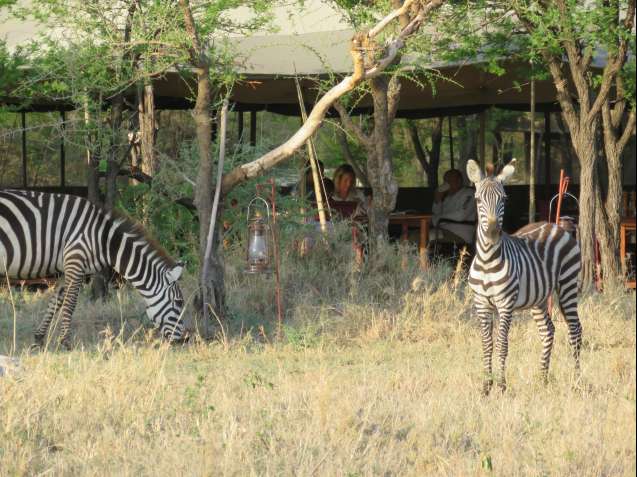 Couple enjoying a rest day at camp in the Serengeti
