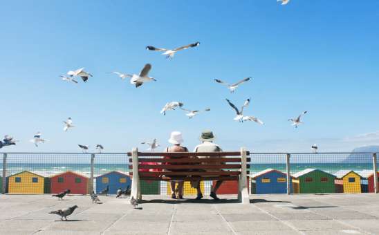 Comfortable South Africa Safaris: Must-Visit Places for Safe and Affordable Adventures