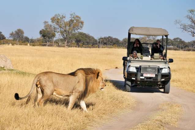Game drive safari in Hwange National Park, Zimbabwe