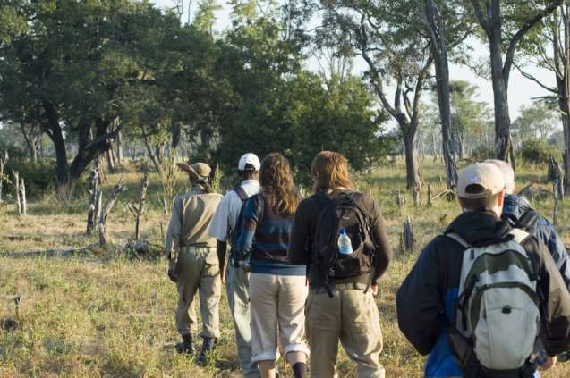Guided walking safari in South Luangwa National Park, Zambia