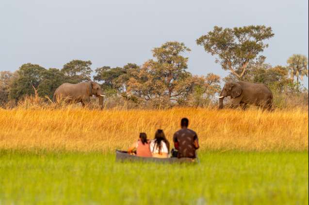 Mokoro canoe safari in the Okavango Delta Botswana