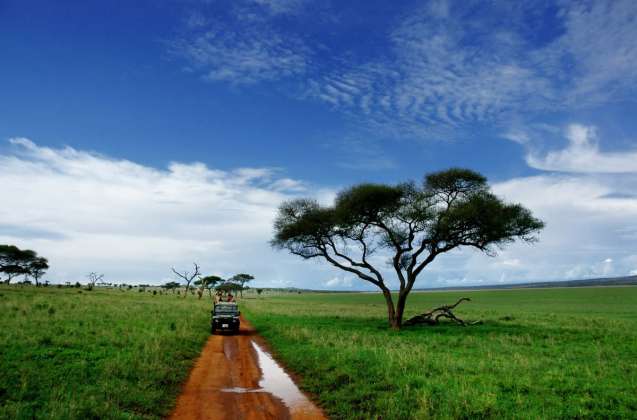 Group safari experience Serengeti