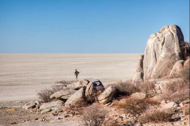 For an affordable safaris, cut out the Middle men