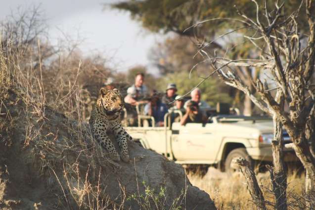Group safari in Namibia at Okonjima Nature Reserve