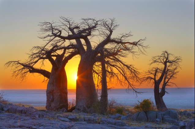 Kubu Island Makgadikgadi for Off Season Safari Deals Africa