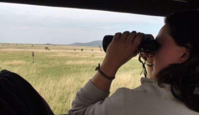safari game drives 