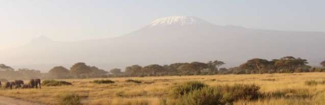 Safari booking deals East Africa