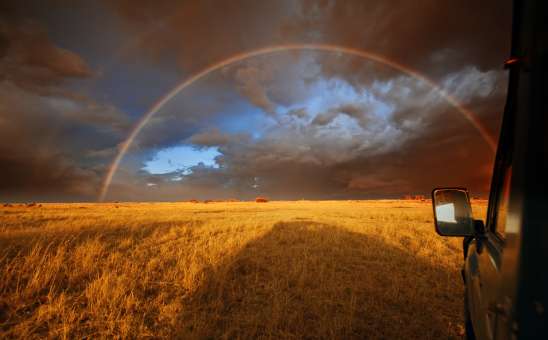 Avoiding Crowds at the Great Migration: What We Learned from 2025