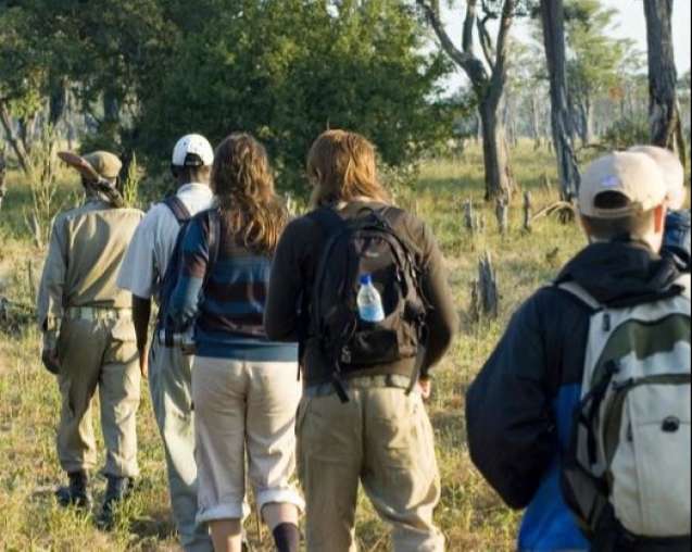 Walking Safari in South Luangwa National Park, Zambia