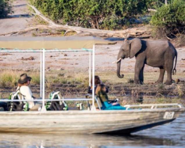 Boat Safari on the Chobe River, Botswana