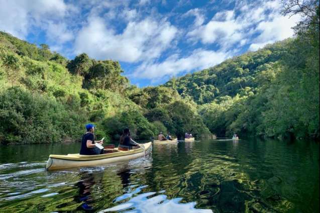 Canoeing Safari in Wilderness National Park, South Africa