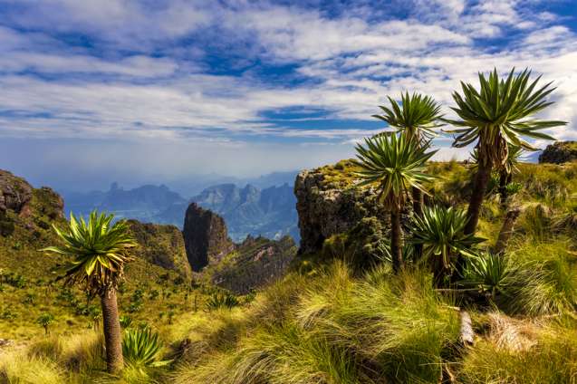 Scenic trekking Simien National Park Ethiopia
