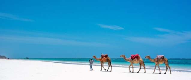 East Africa Beaches Travel Guide