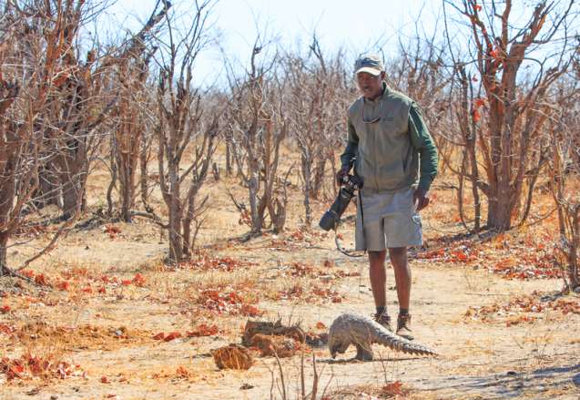 Walking safari Africa