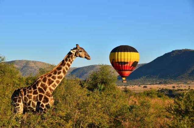 Hot air ballooning pilanesberg