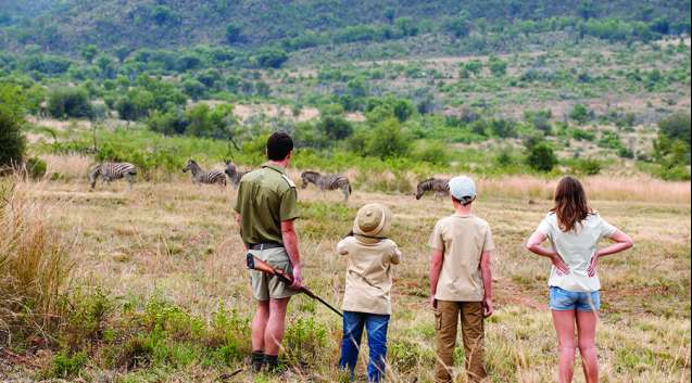 Pilanesberg walking safari