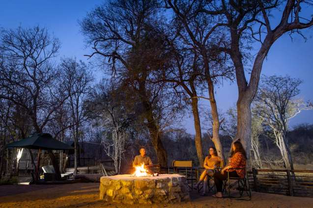 Winter safari fires at night