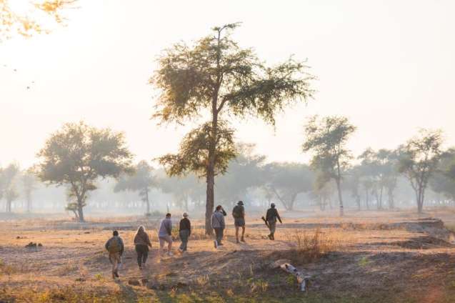 Big 5 walking safari lower Zambezi