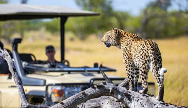 Okavango Delta safari Botswana