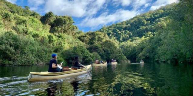Garden route South Africa