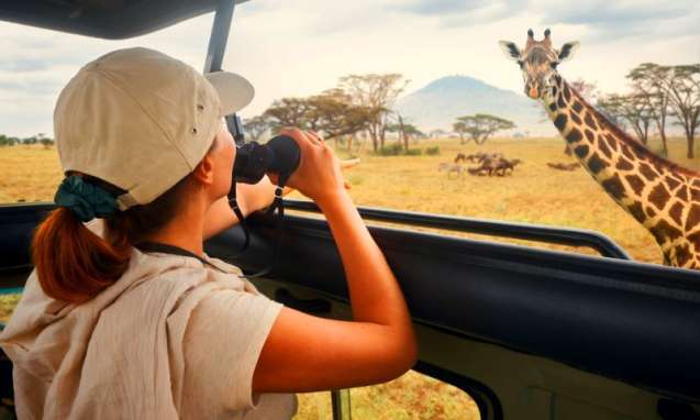 Tanzania safari