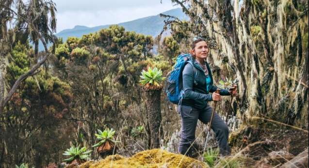 Trek Kilimanjaro