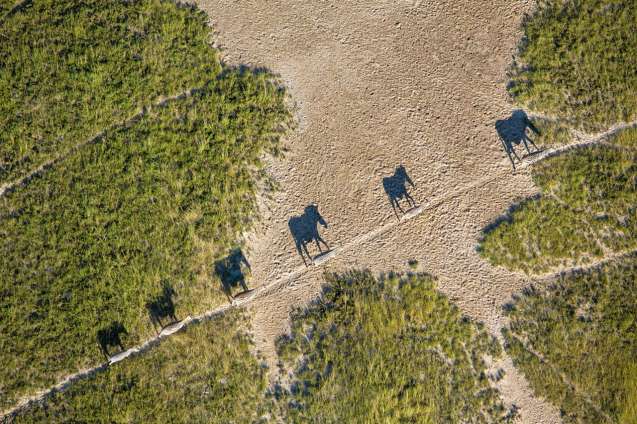 Botswana helicopter Makgadigadi Pans 