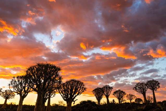 Damaraland -namibia