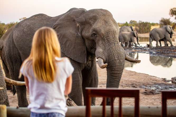 Off-the-beaten-track safari Hwange