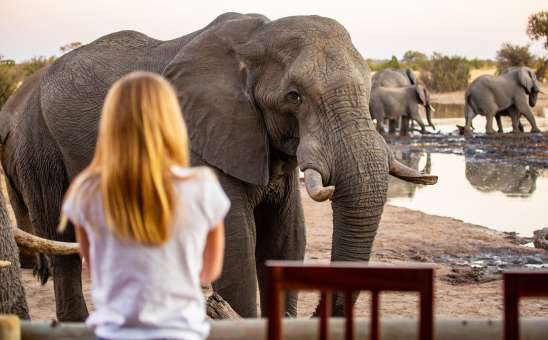 Off-the-beaten-track safari Hwange