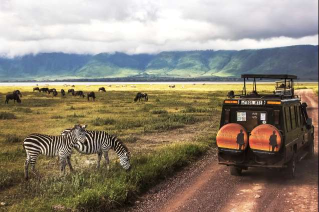 Ngorongoro Crater safari