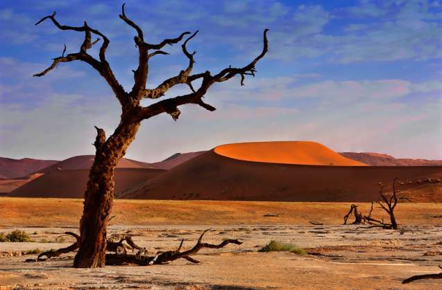 Namib Desert safari