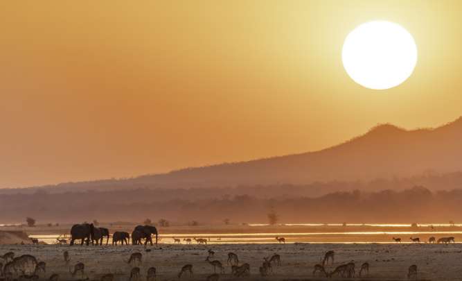 Best safari 2026 Zambezi