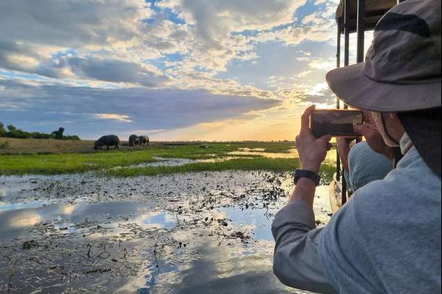 Botswana Chobe 2026 safari