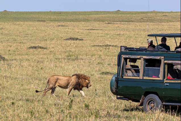 Mara Conservancy game drive