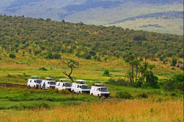 Masai Mara safari