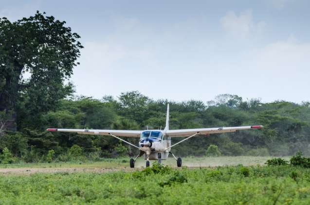 Transport to the Serengeti