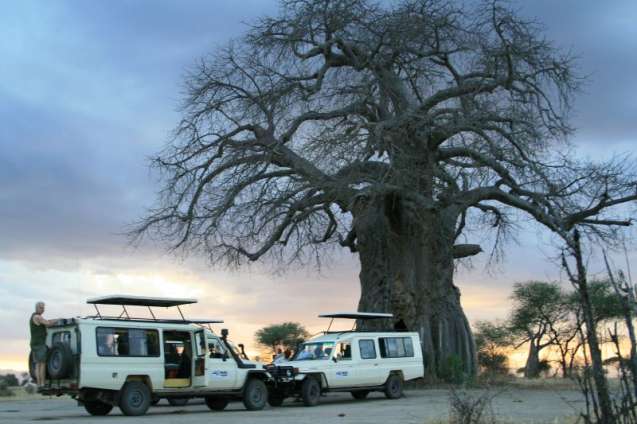 Tanzania overland safari