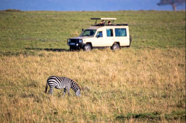 The Mara conservancy
